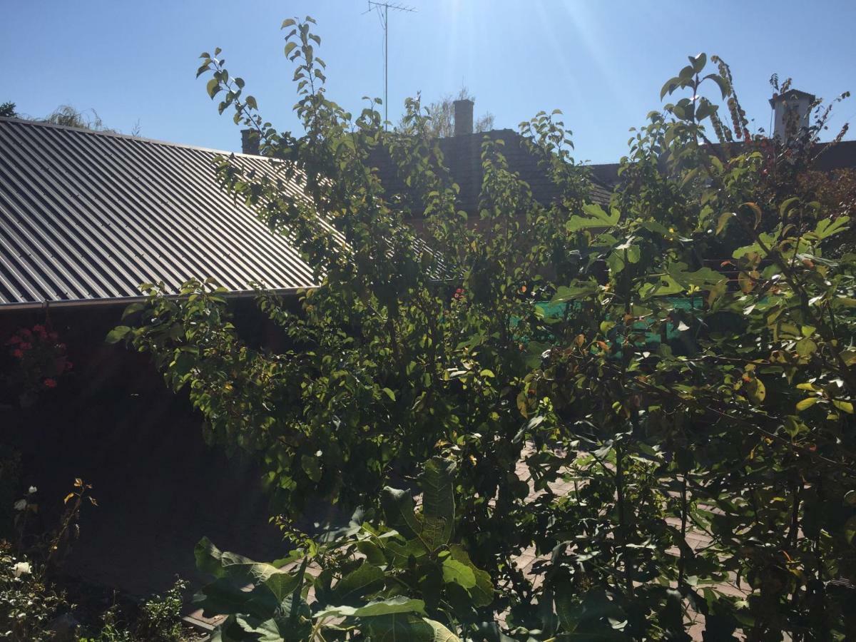 Tamas Apartman Balatonfoeldvar Sziveben- Egesz Evben Nyitva! Exterior foto