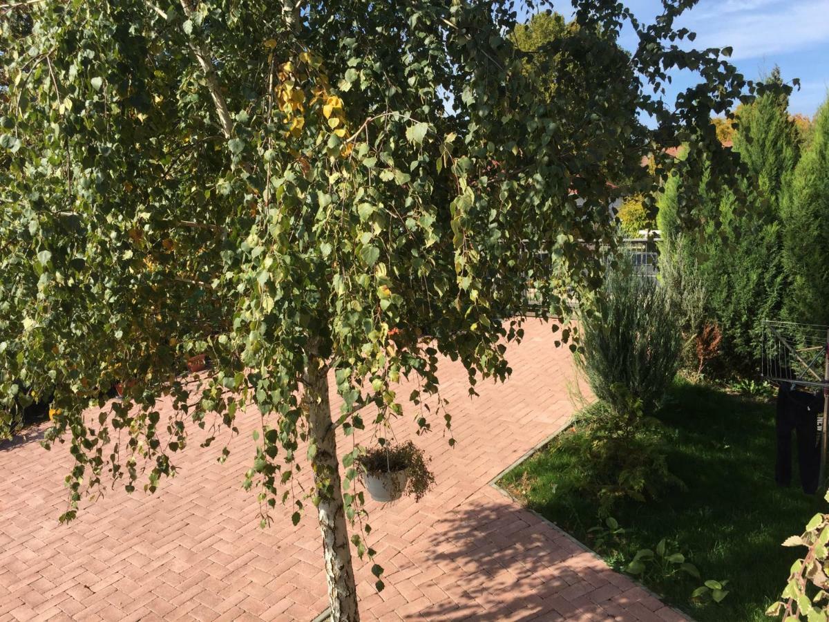 Tamas Apartman Balatonfoeldvar Sziveben- Egesz Evben Nyitva! Exterior foto
